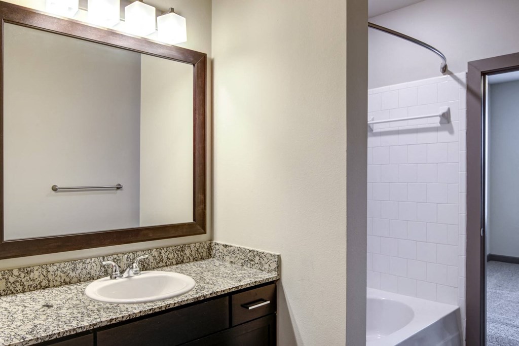 a bathroom with a sink and a mirror and a shower