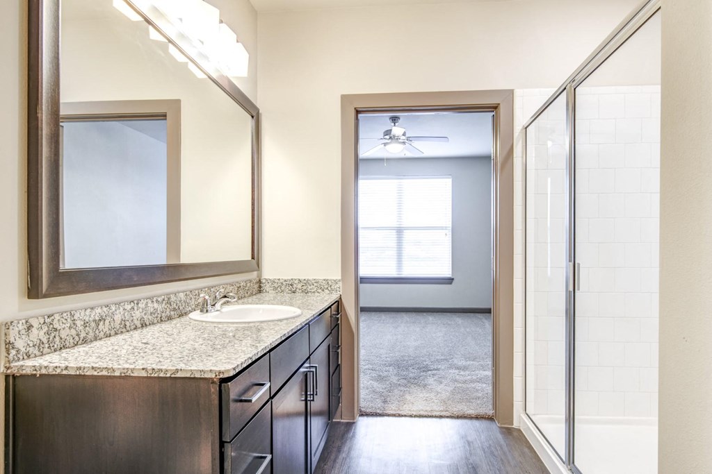 a bathroom with a sink and a mirror and a shower