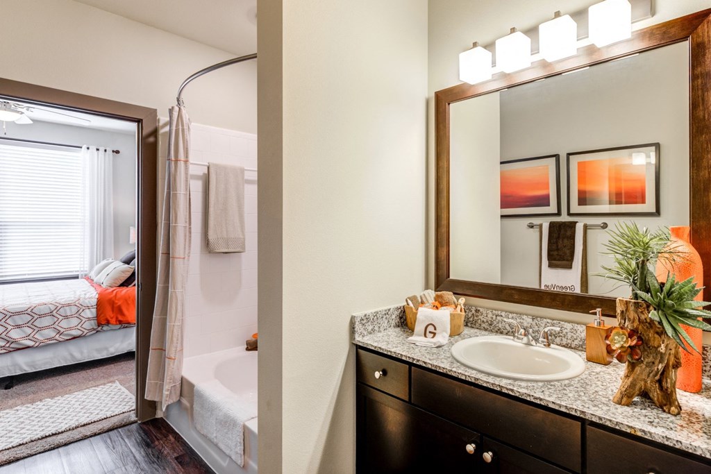 a bathroom with a mirror and a sink and a shower