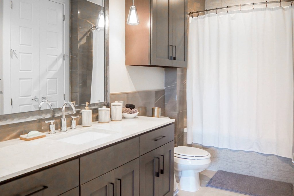 3 bedroom model bathroom with a sink and a toilet and a shower at The Hamilton apartments in Dallas, TX