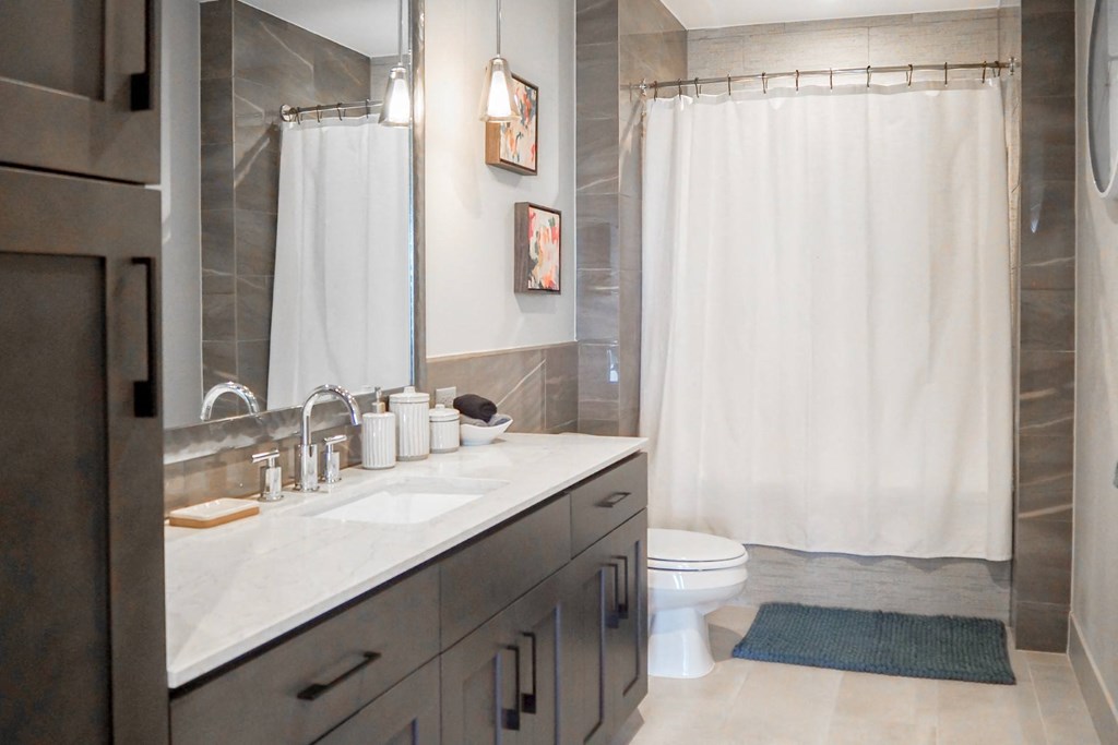 3 bedroom model bathroom with a sink and a toilet and a shower at The Hamilton apartments in Dallas, TX