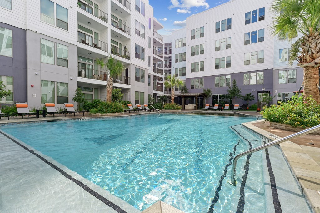 Swimming pool with palm tree and lounge seating at Harlow River Oaks in Houston, TX
