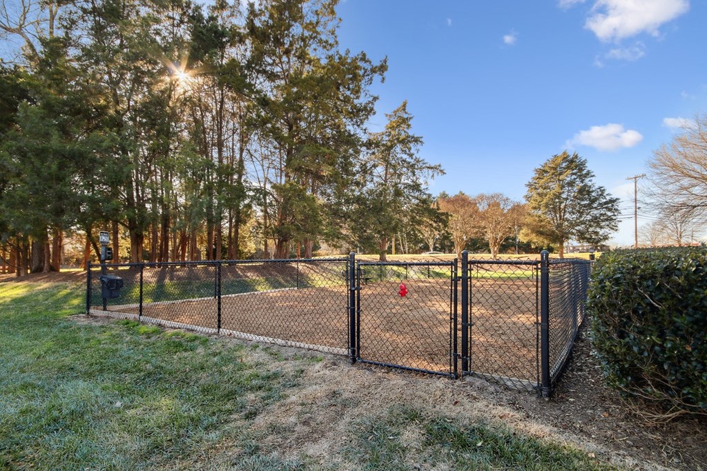 the dog park at Johnston Creek Crossing in Charlotte, NC