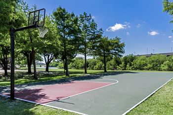 Basketball Court