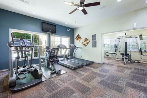 the gym is equipped with cardio equipment and a tv