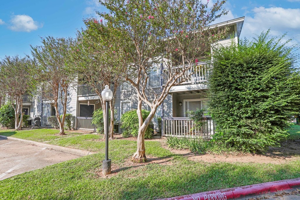 A tree in front of a white building with a balcony at Laurel Parc apartments in Shreveport, LA.