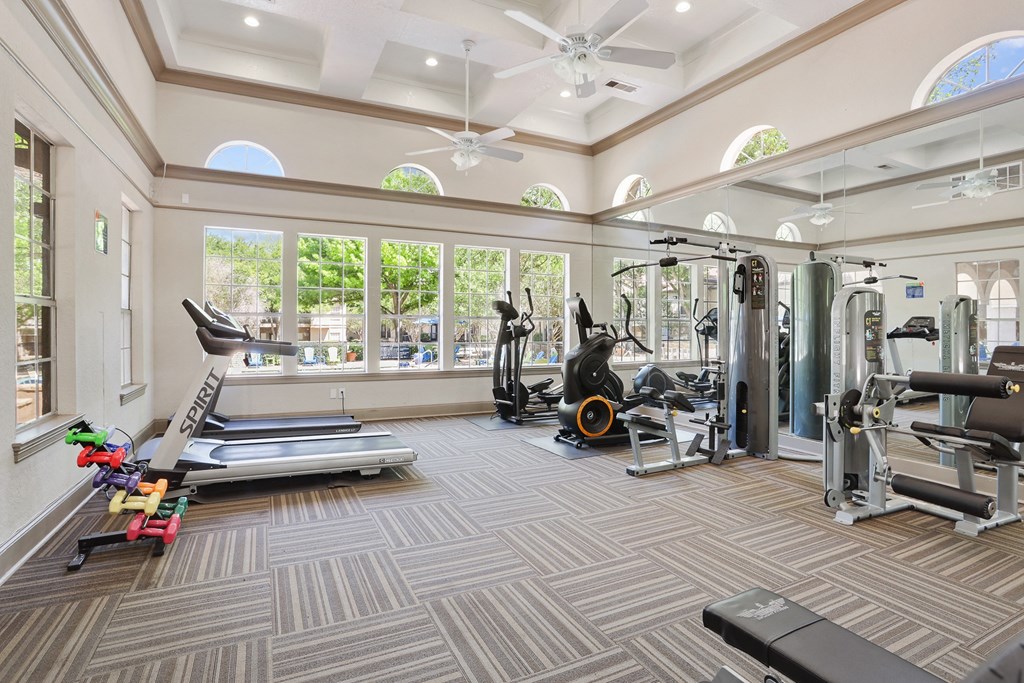 the gym at the enclave at woodbridge apartments in sugar land, tx