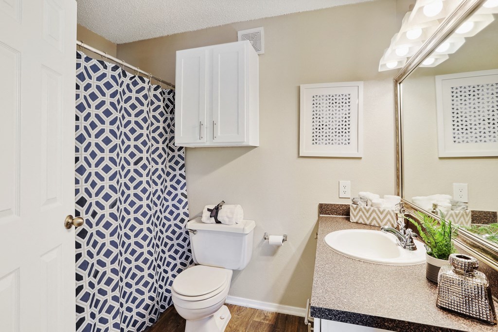the enclave at homecoming terra vista bathroom