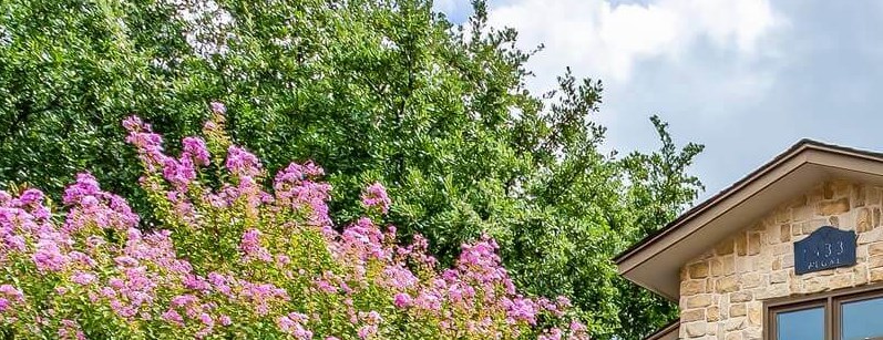 La Mirada Apartments In Richardson Tx