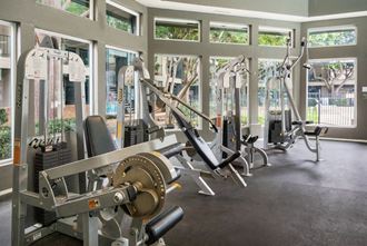 a picture of the exercise equipment in the gym