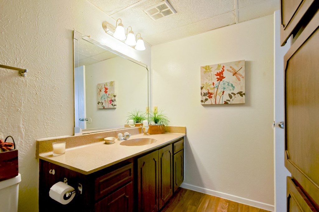 Model Bathroom 2 at 600 Baylor in Longview Tx