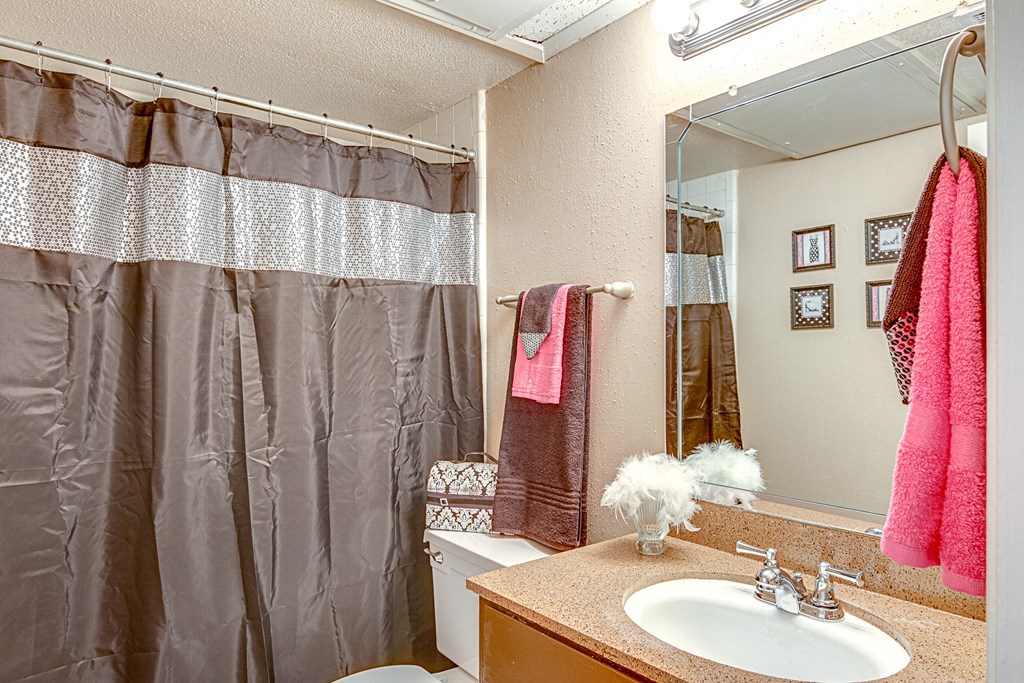 Model Bathroom at The Abbey in Longview TX