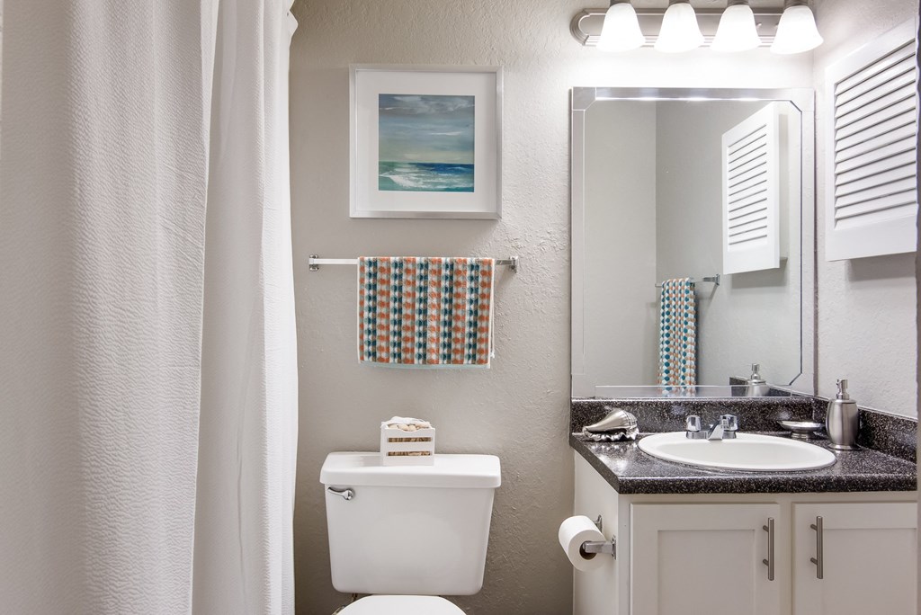 Model Unit Bathroom at Stone Canyon Apartments in Shreveport, LA