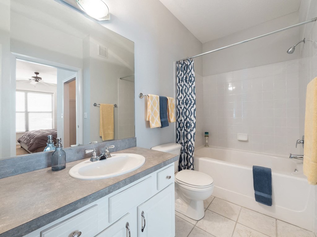 Model Bathroom 1 at Sundance at Clermont in Clermont FL