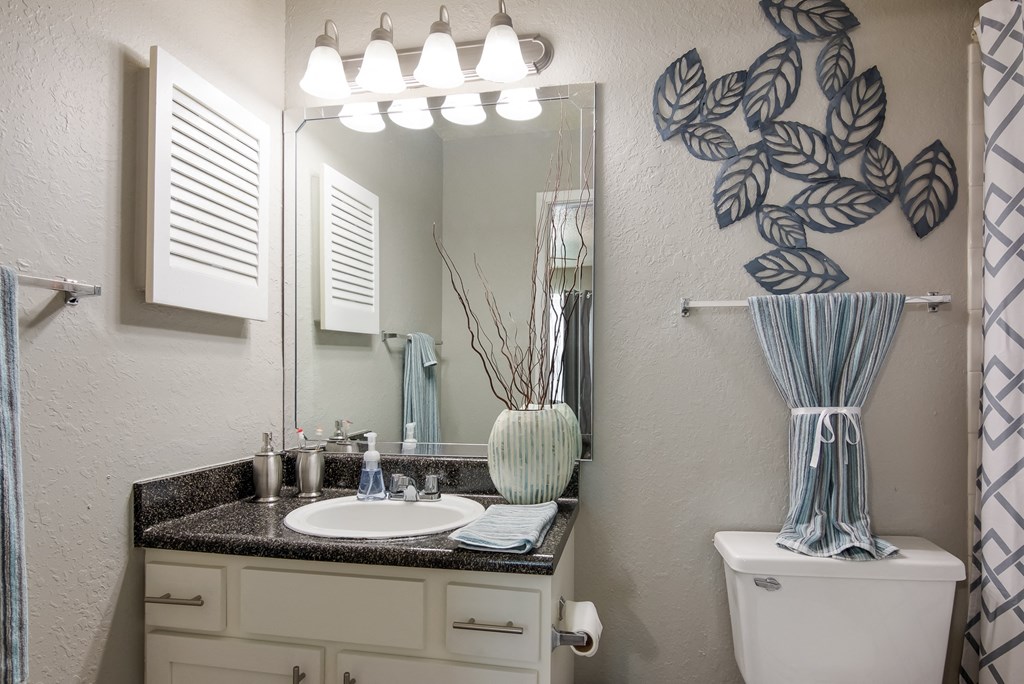 Model Unit Bathroom at Stone Canyon Apartments in Shreveport, LA