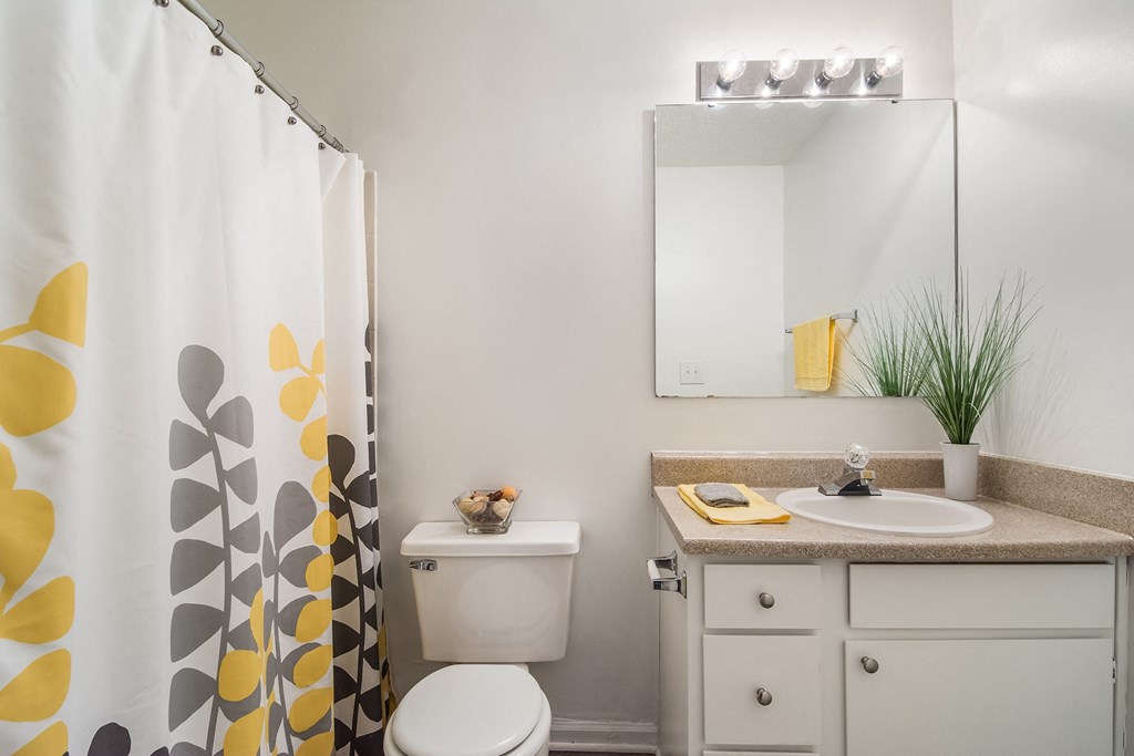 Bathroom at Poplar Place Apartments in Carrboro, NC