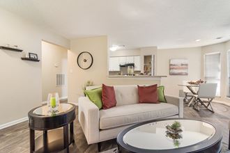 Model Unit Living Room at Poplar Place Apartments in Carrboro, NC