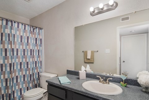 the preserve at ballantyne commons apartment bathroom with sink toilet and shower