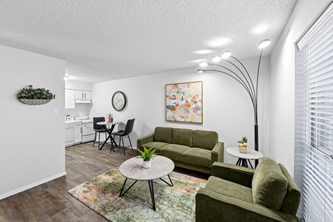 Model unit living room at Oaks of Denton in Denton, TX