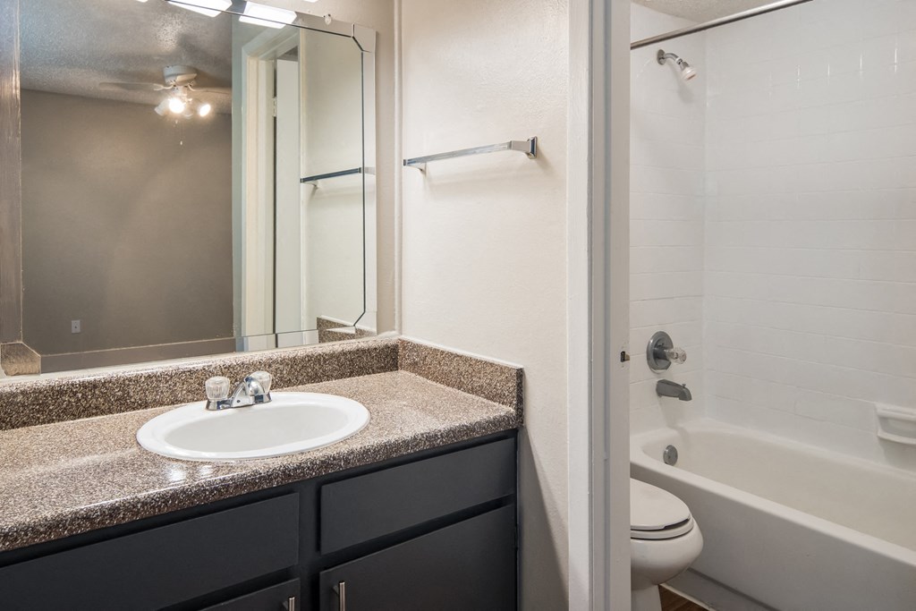 a bathroom with a sink and a shower and a toilet