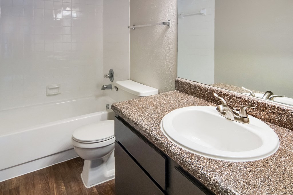 a bathroom with a sink and a toilet and a mirror