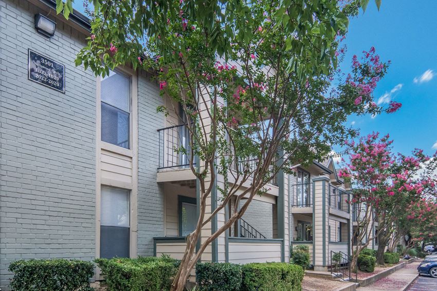 Pavilion Apartments, 3500 Willowood Circle, Arlington, TX RentCafe
