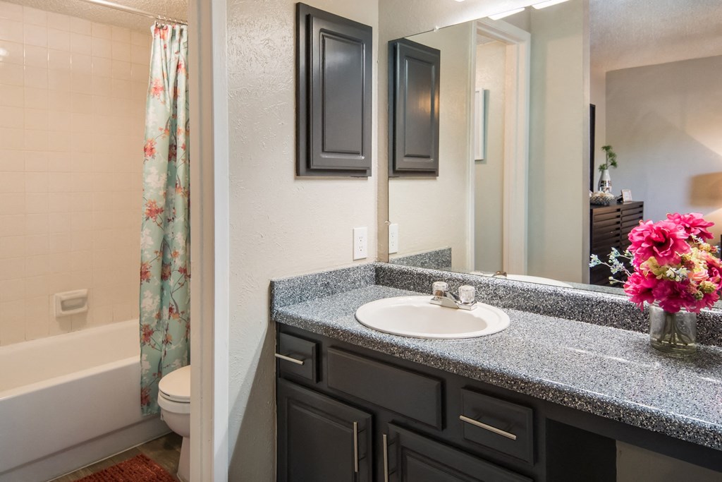 a bathroom with a sink and a toilet and a shower