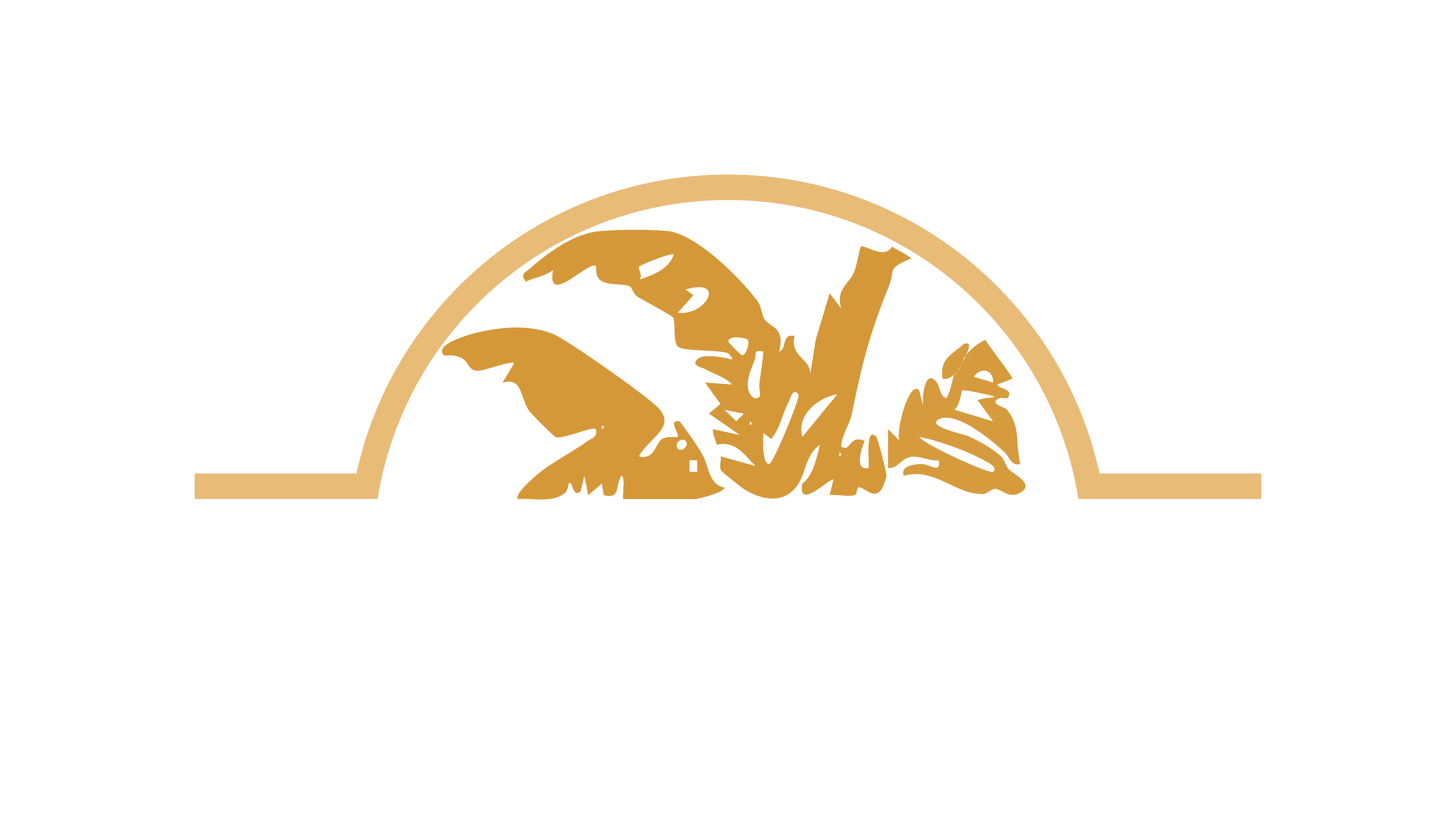 The logo for The Pavilion features a bird in flight.