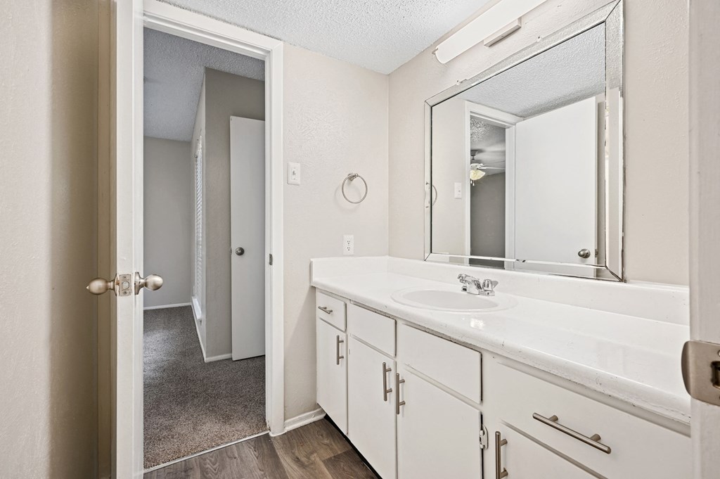 a bathroom with a sink and a mirror