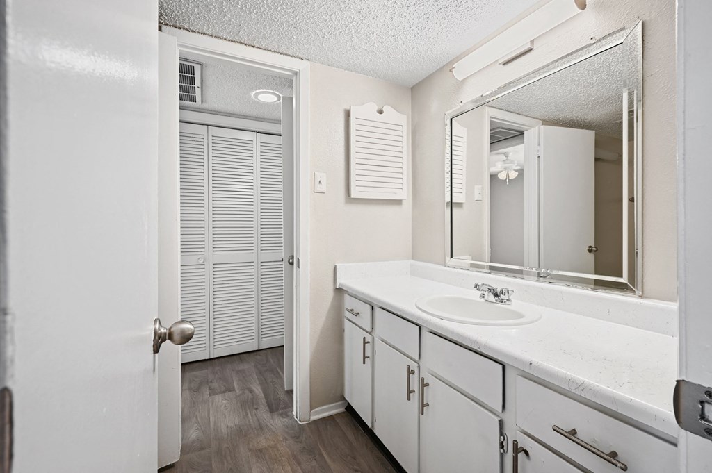 a bathroom with a sink and a mirror