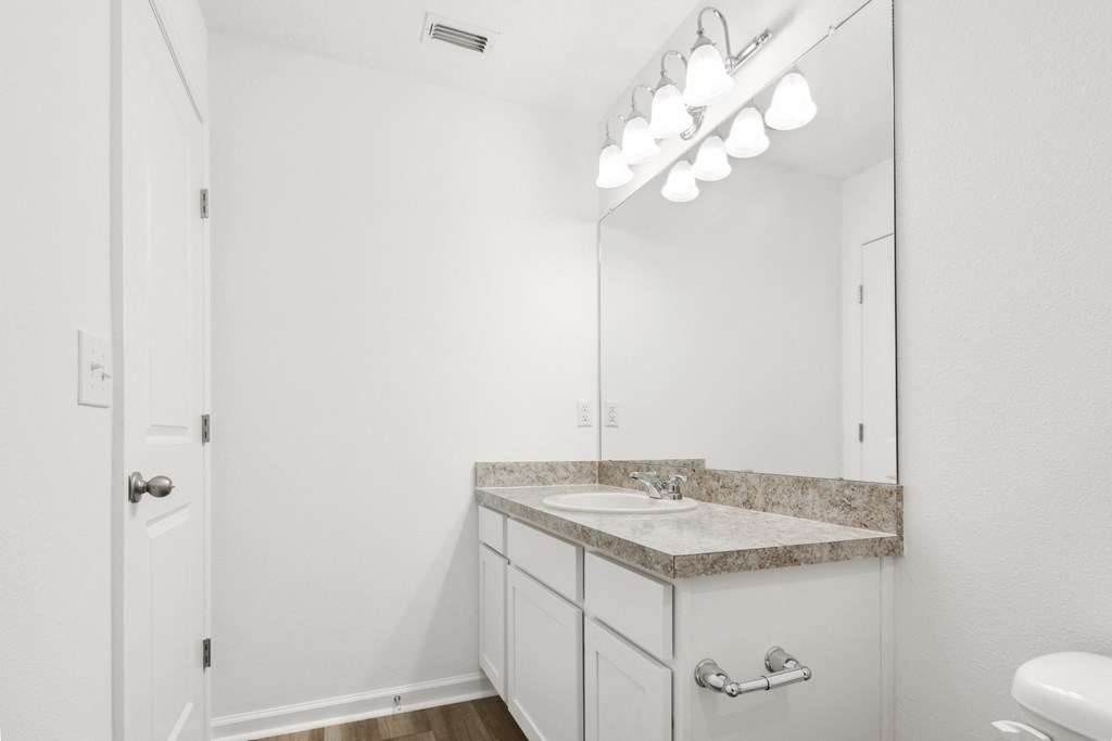 a bathroom with a sink and a mirror