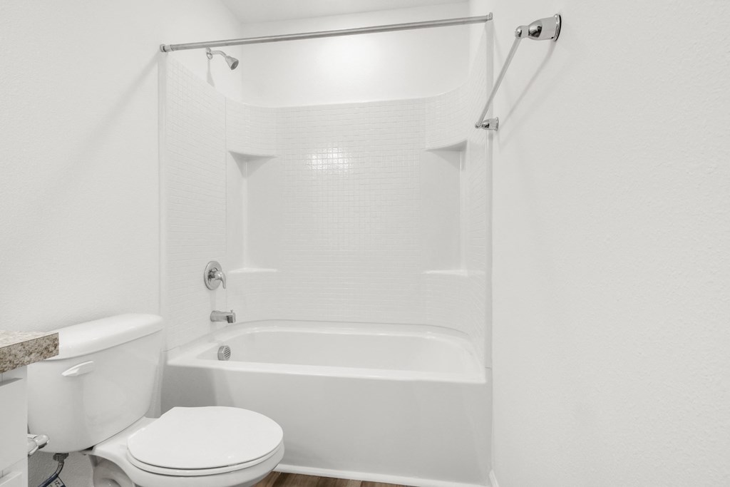 a bathroom with a toilet and a bathtub