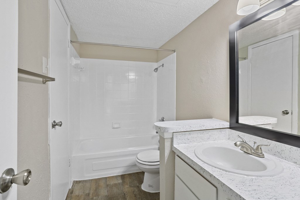 a bathroom with a sink and a toilet