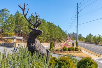 Statue | Reserve at Pelham | Luxury Apartments in Pelham, AL - Photo Gallery 6