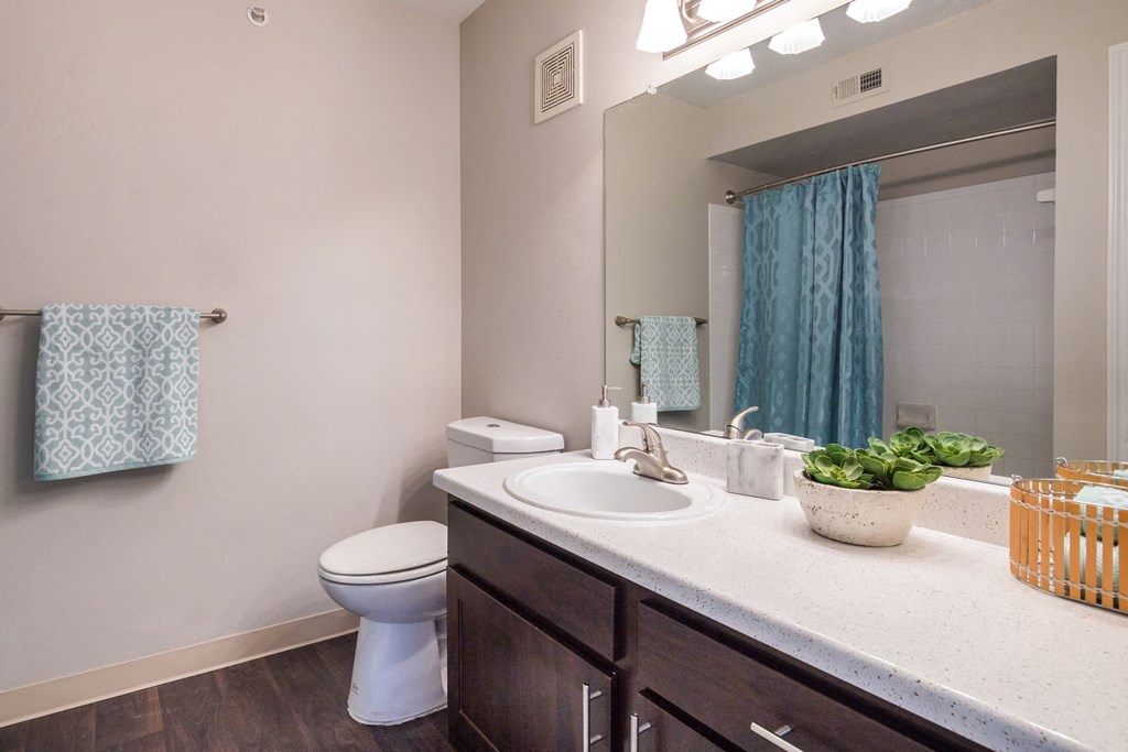 a bathroom with a sink and a toilet and a mirror