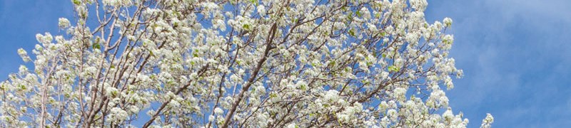 Station 3700 Apartments In Euless Tx