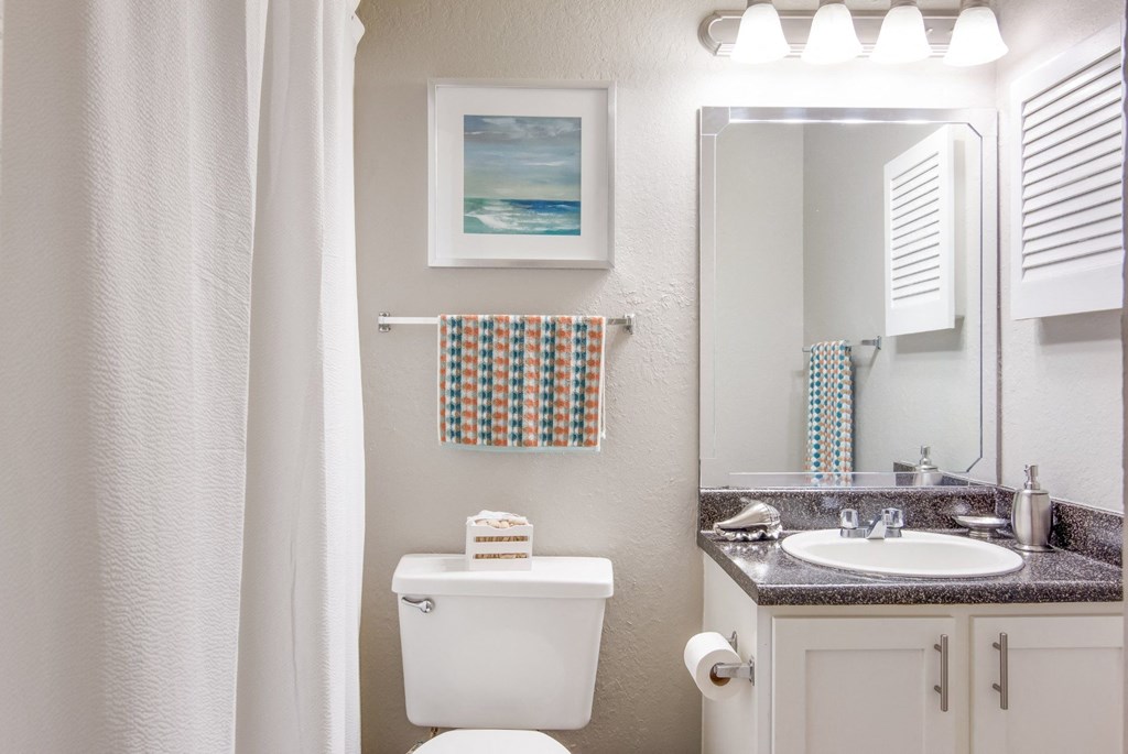 Model bathroom with white toilet next to a sink at Stone Canyon apartments in Shreveport, LA.