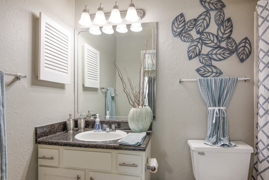 A bathroom with a sink, mirror, and toilet in the model apartment at Stone Canyon apartments in Shreveport, LA.