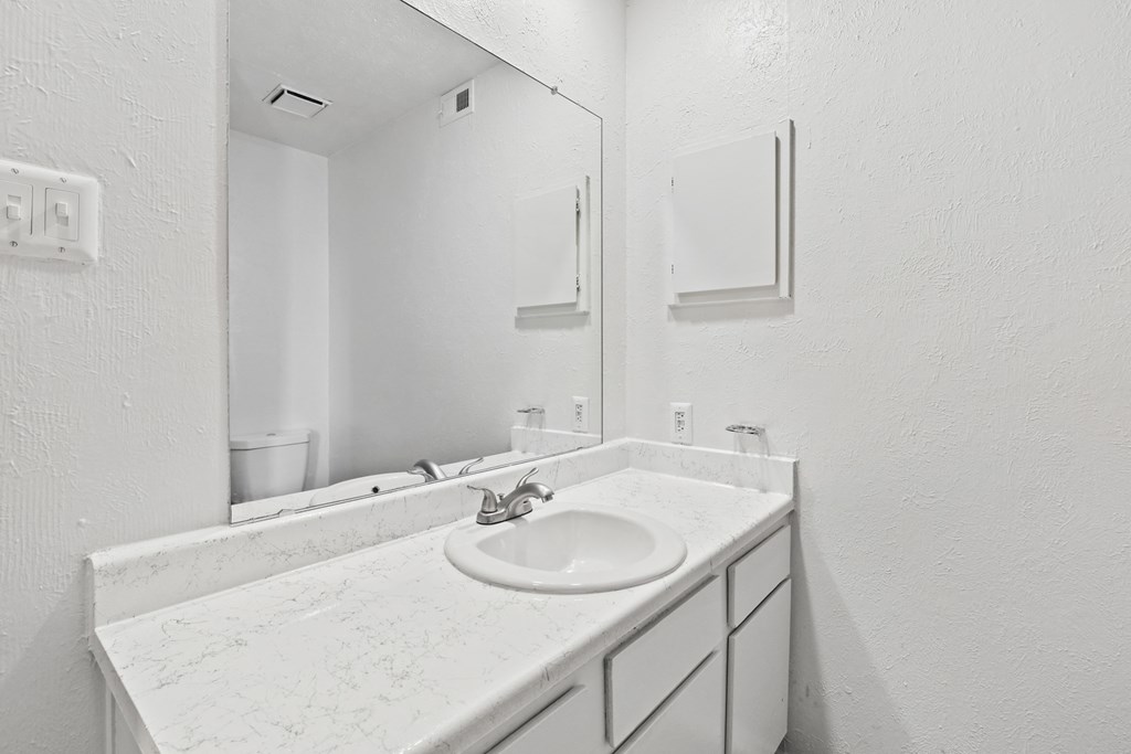 a bathroom with a sink and a mirror