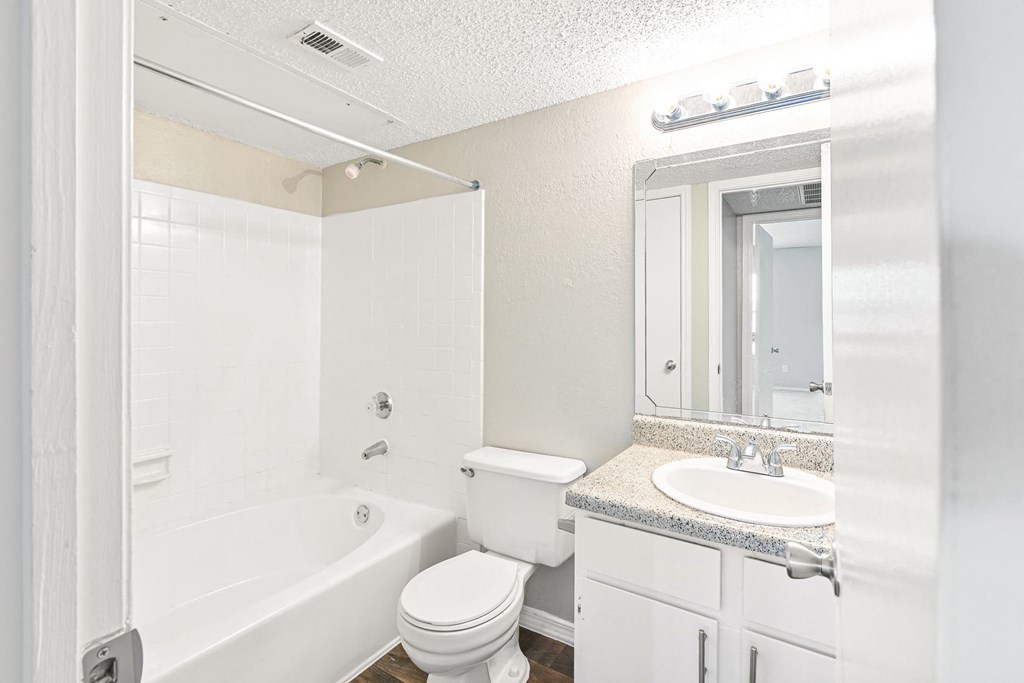 Terrace Unit Bathroom at Bookstone and Terrace Apartments in Irving, Texas