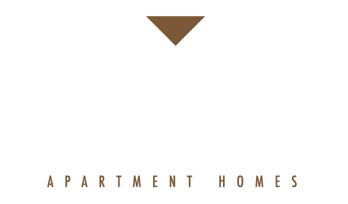 The Marq logo