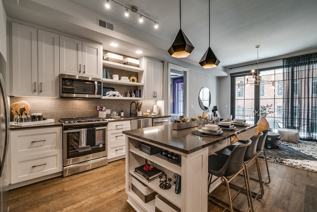 Modern Kitchen With Custom Cabinet at The Hamilton, Texas, 75226