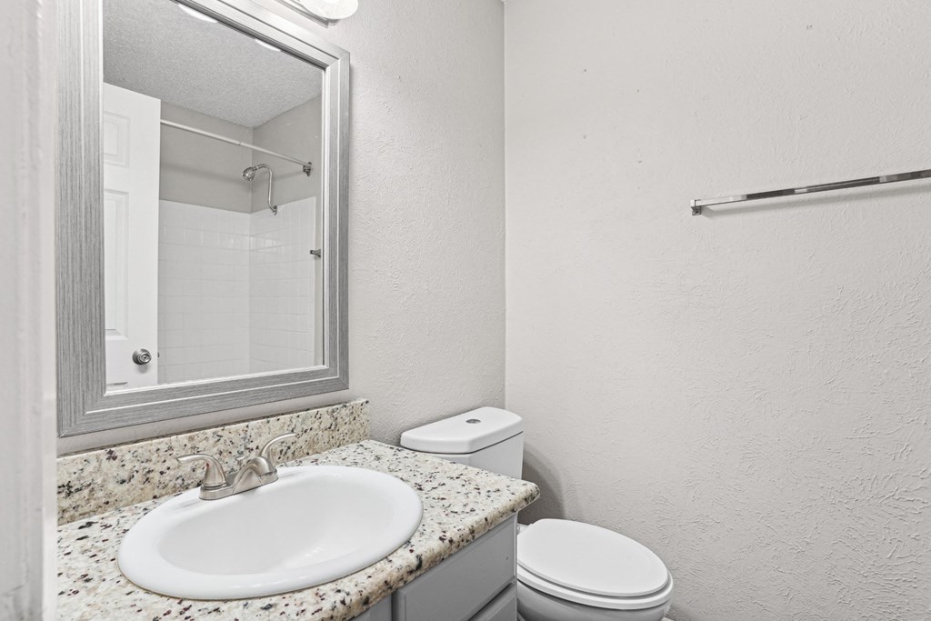 B1 bathroom with a sink, toilet, and mirror at Vine Apartments in Arlington, TX