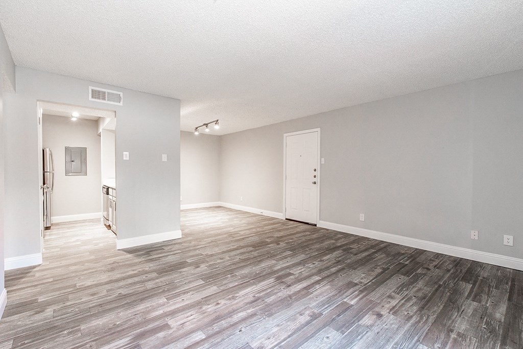 A2 upgraded apartment living room looking at the entrance at Vine Apartments in Arlington, TX