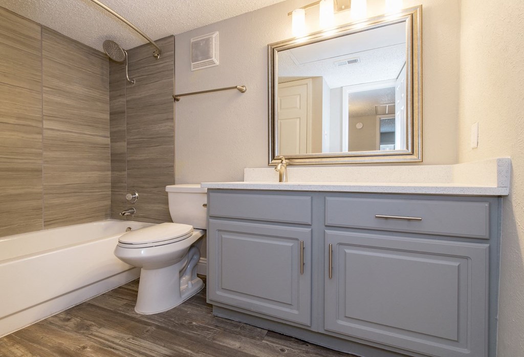 Vine Apartments, 711 Trinity Circle, Arlington, TX RentCafe