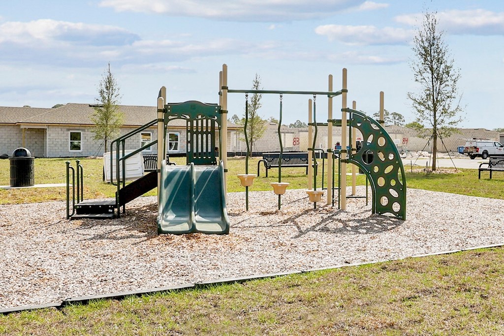 a playground with slides and monkey bars in front of a house a playground with slides and monkey bars in front of a house at Beacon at Woodland Village, Florida