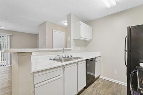 Woodmere Trace Apartmements in Duluth, GA Kitchen