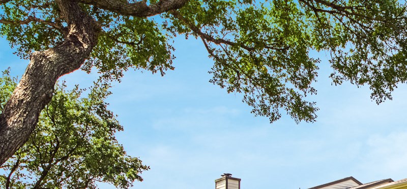 Woodmeade Apartments In Irving Tx