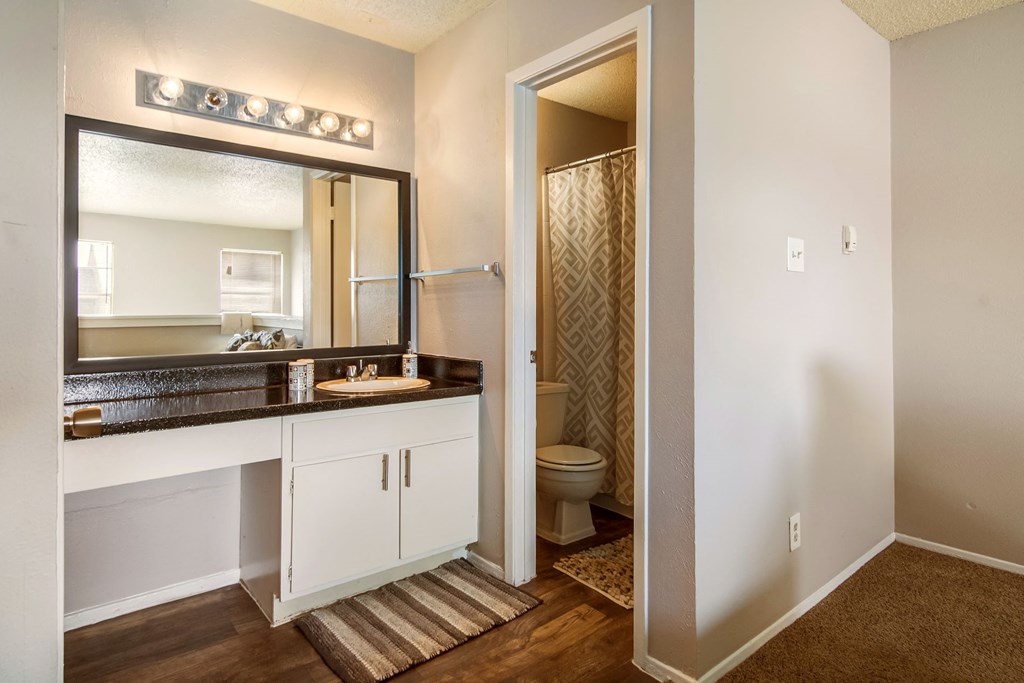 a bathroom with a mirror and a sink and a toilet