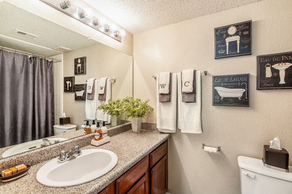 Model Bathroom at Walnut Creek Crossing Apartments in Austin, Texas, TX